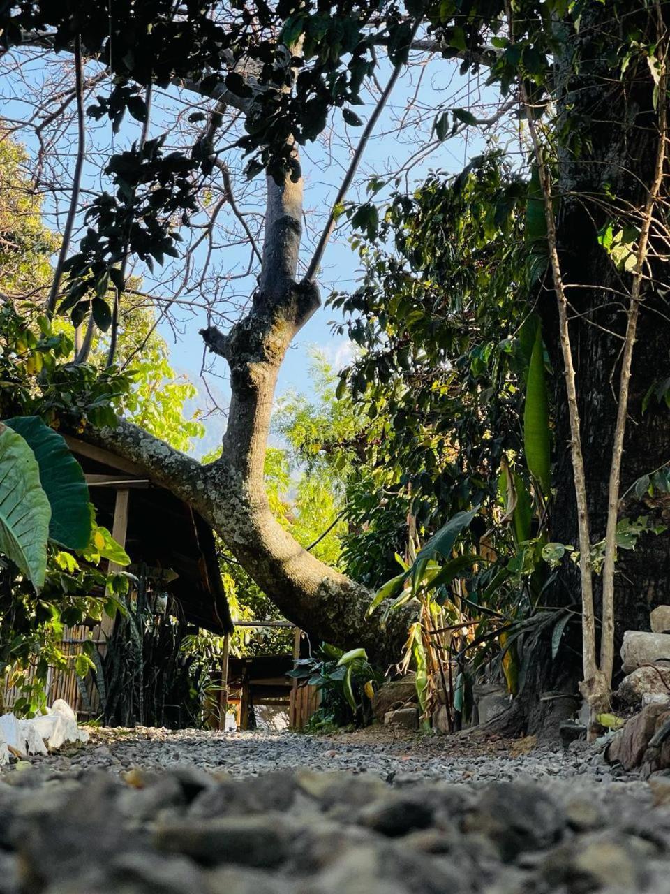 Posada Mana سان خوان لاجونا المظهر الخارجي الصورة