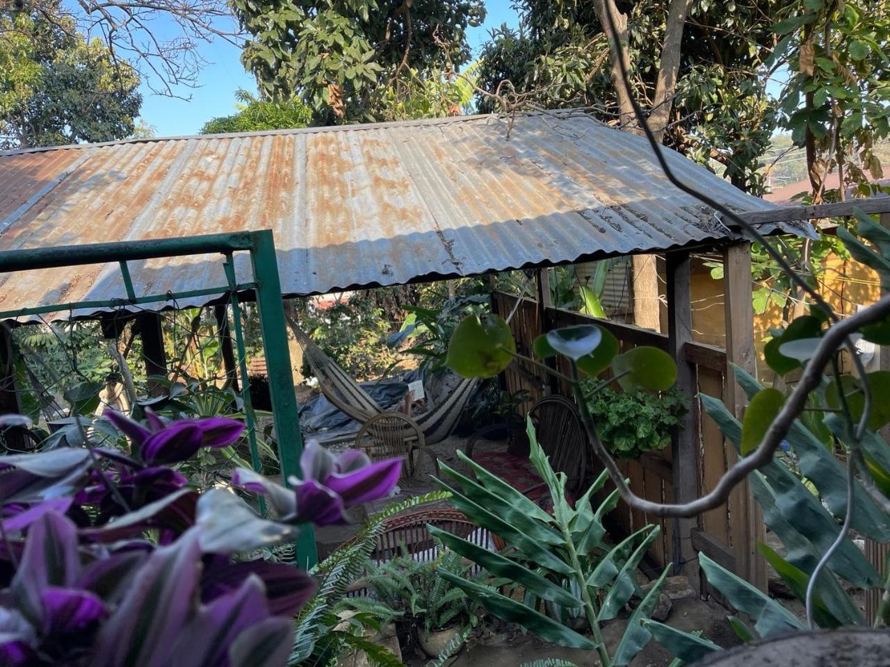 Posada Mana سان خوان لاجونا المظهر الخارجي الصورة